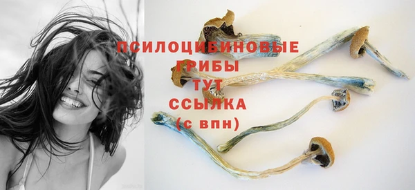 первитин Беломорск